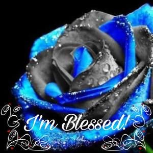 Meet your Posher, Marie